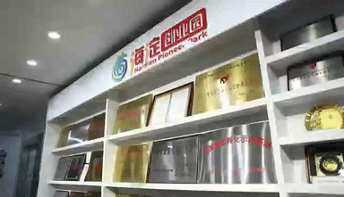 4.gif